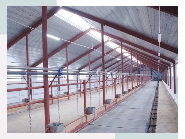 Строительство коровников в Магадане от 613 руб.