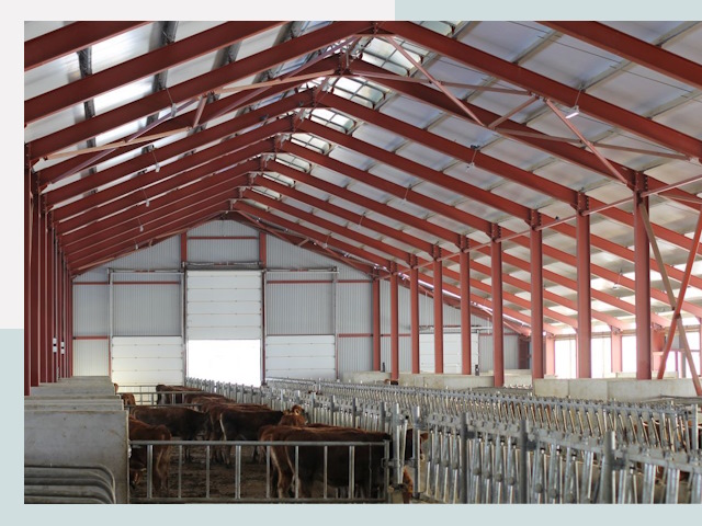 Строительство коровников в Магадане