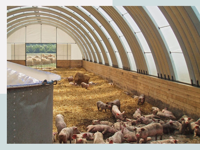 Строительство свинарников в Магадане