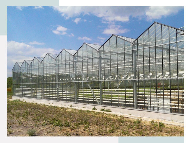 Строительство теплиц в Магадан от 613 руб. за м²