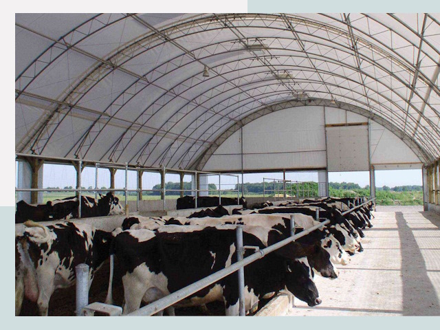 Тентовые коровники в Магадане